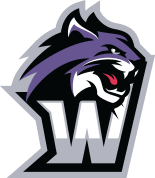WILEY Team Logo