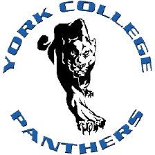 YORK Team Logo
